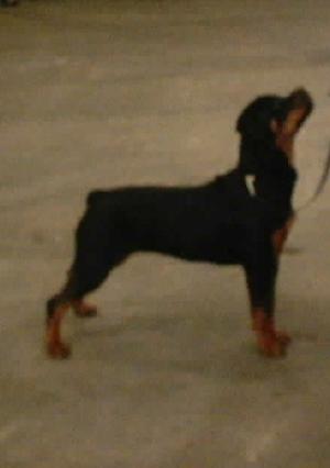 Connie at 8 months