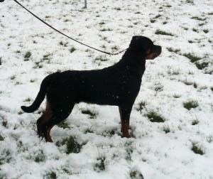 Jed enjoying the snow!