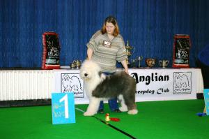 East Anglian Champ Show - 20/01/08