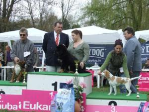 Baby Best in Show