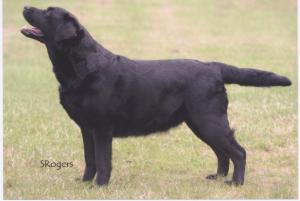 Georgia age 5