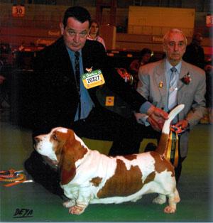 Best of Breed Crufts 2008