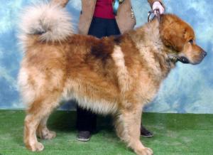 Rupert