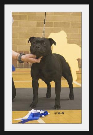 Misty gaining 2nd in Limit