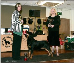 Nellie wins top puppy