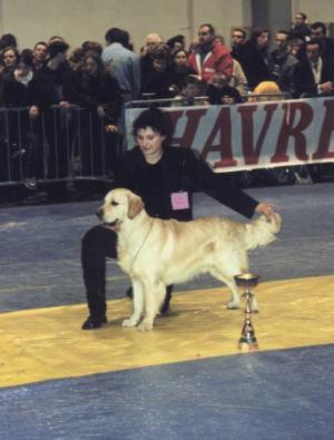 Amigoh just at 9 months,winning 4th Junior BIS