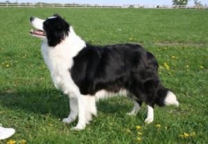 Storri, my beautiful girl