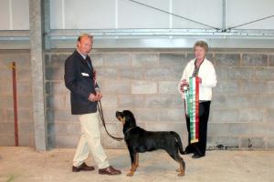 Best Puppy in Show  Rottweiler Club of Wales 04.08