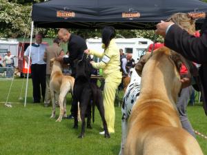 Belenus with Michelle Showing