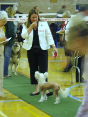 dolli first show