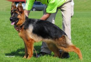 Queska 