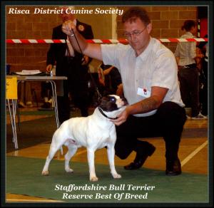 Risca & District Canine Society Show June 2008