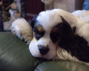 CYN IN ANOTHER POSE!