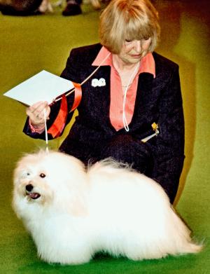 Crufts