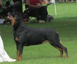 Meggie @ 15 Month