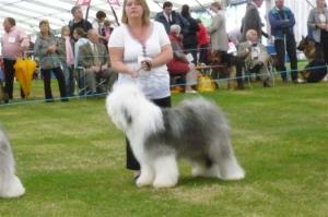 East Of England Champ Show 17/07/08