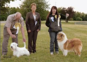 Reserve Best Puppy in Show