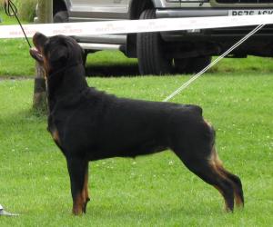 Meggie @ ECRC 2008