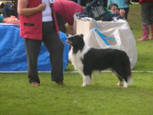 Myka in line for his Reserve Green Star