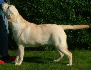 STORM 7MTHS OLD.