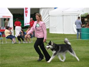 Misty on the move