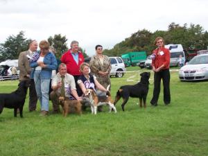Bindi Getting Reserve Best In Show