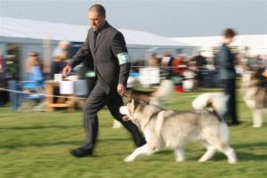 Chinook and Mark at Driffield