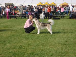 Mikey at Driffield
