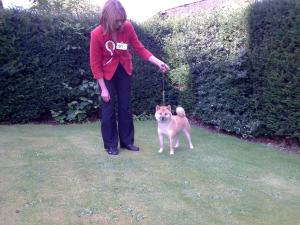Vienna at 18 month shown by J. Urwin.