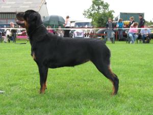 Meggie at 16 month