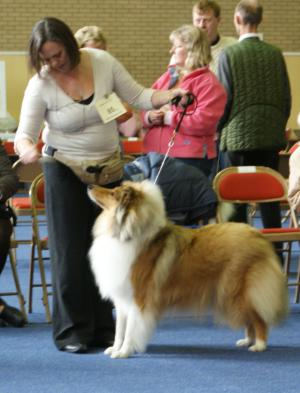Chloe 1st in Junior