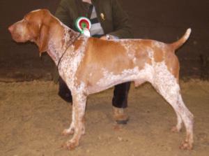 Feeling proud with a new rosette.