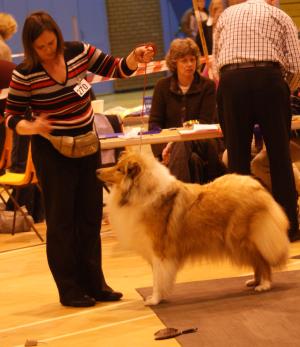 Chloe at Drongan