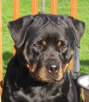 DELILAH