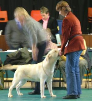  STORM 9MTHS OLD.