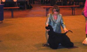 Arthur and Sue
