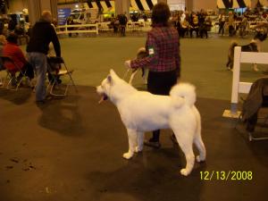 Andi and Murphy waiting to go in the ring