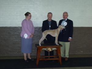 Sky~Reserve Best Bitch