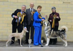 Best in Show ~ Yeovil 2008