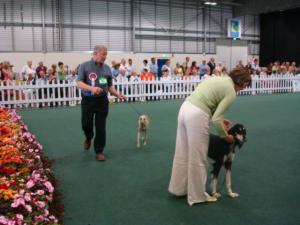 Group Judging