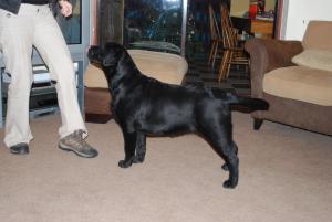Hattie having a practice