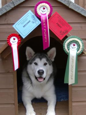 Atka & Rosettes