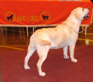 STORM 11MTHS OLD.