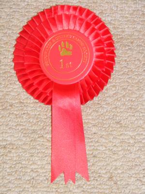 Rosette 1st Place