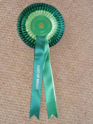 Rosette- Best of Breed