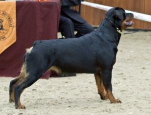 Meggie at 17 Month