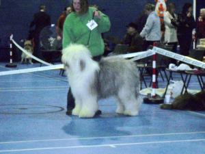 Rugby Open Show - 31/01/09