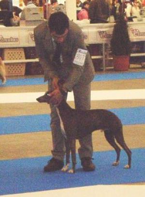 Handler Félix Duque