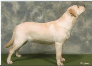 BREEZE AT SHOW.