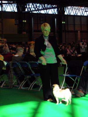 lucy at crufts